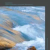 Psicologia em Movimento - Livro em Homenagem à Professora Helena Rebelo Pinto