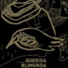 Querida Blimunda - Modos de Ver José Saramago