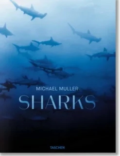 Sharks