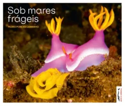 Sob Mares Frágeis