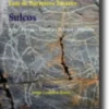 Sulcos: arte, poesia, técnica, política, filosofia