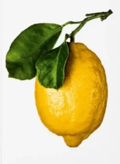 The Gourmand's Lemon - A Collection of Stories and Recipes