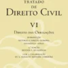 Tratado de Direito Civil Português VI