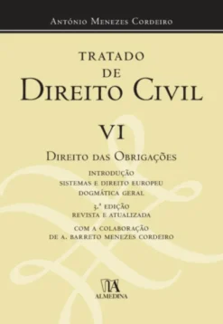 Tratado de Direito Civil Português VI