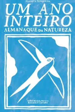 Um Ano Inteiro
