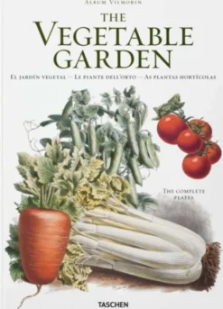 Vegetable Garden(Italian, Portuguese and Spanish Edition)