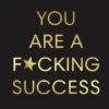 You Are a F*cking Success - Change Your Story, Manifest Your Dream Life
